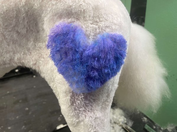 blue heart-c